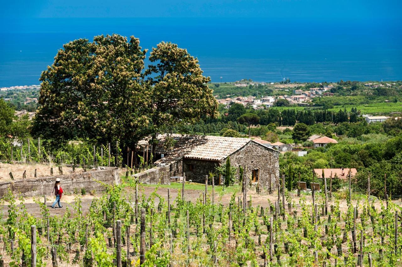 Hotel Monaci Delle Terre Nere Zafferana Etnea Exteriér fotografie
